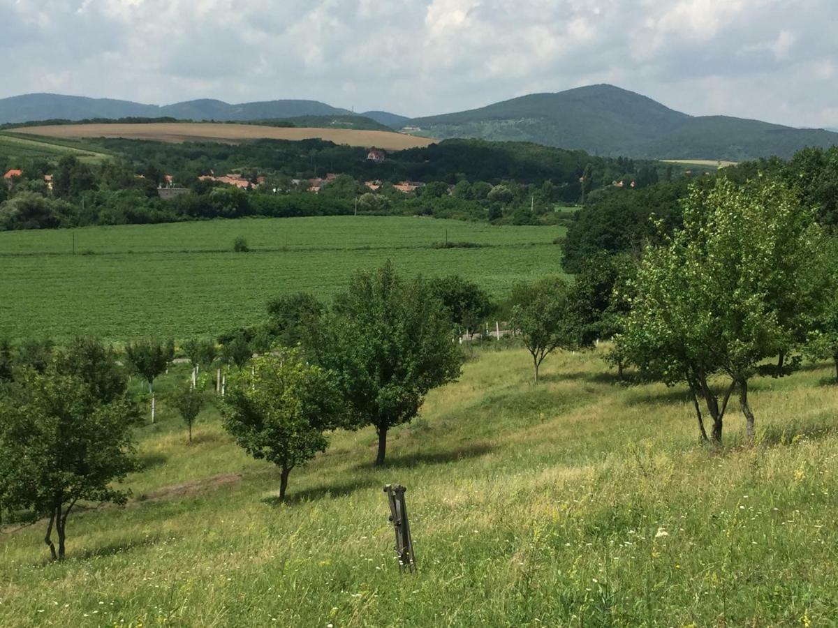 Dósa tanya, Vendégház Cserepfalu Exterior foto